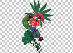 免扣素材免费下载绘画装饰花草png 