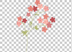 免扣素材免费下载绘画装饰花草png 