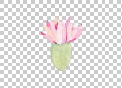 免扣素材免费下载绘画装饰花草png 