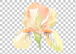 免扣素材免费下载绘画装饰花草png 