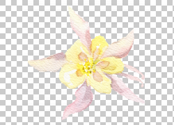 免扣素材免费下载绘画装饰花草png 