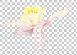 免扣素材免费下载绘画装饰花草png 