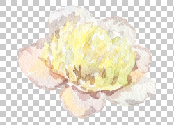 免扣素材免费下载绘画装饰花草png 