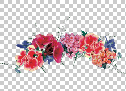 免扣素材免费下载绘画装饰花草png 