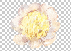 免扣素材免费下载绘画装饰花草png 