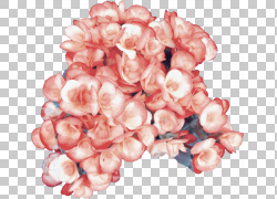 免扣素材免费下载绘画装饰花草png 