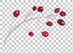 免扣素材免费下载树枝上的红色果实