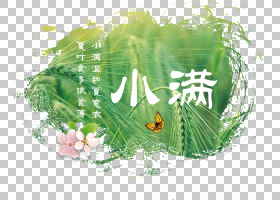 小满节气免抠素材 (