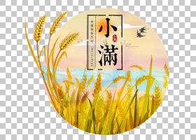 小满节气免抠素材 (