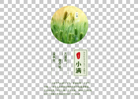 小满节气免抠素材 (