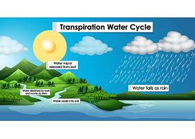 EPS矢量素材下载-蒸腾水循环示意图_7