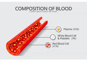 EPS矢量素材下载-血液信息图概念在平面