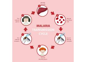 EPS矢量素材下载-疟疾传播周期和症状信