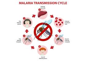 EPS矢量素材下载-疟疾传播周期和症状信