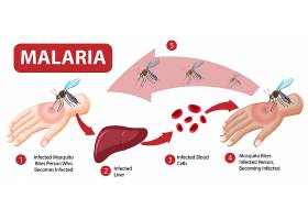 EPS矢量素材下载-疟疾症状信息信息图_