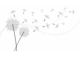 EPS矢量素材下载-飞行蒲公英种子花背景
